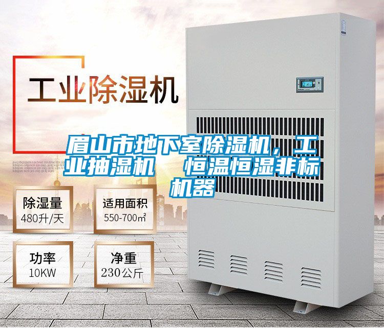 眉山市地下室除濕機(jī)，工業(yè)抽濕機(jī)  恒溫恒濕非標(biāo)機(jī)器
