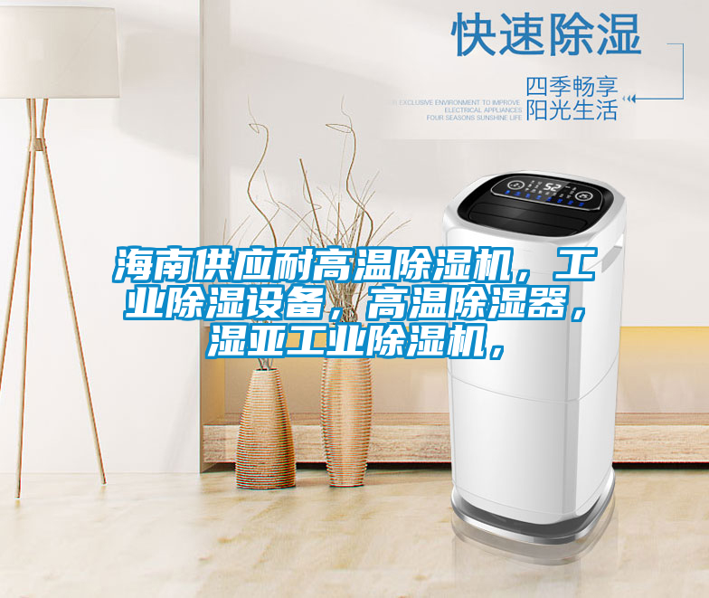 海南供應(yīng)耐高溫除濕機(jī)，工業(yè)除濕設(shè)備，高溫除濕器，濕亞工業(yè)除濕機(jī)，