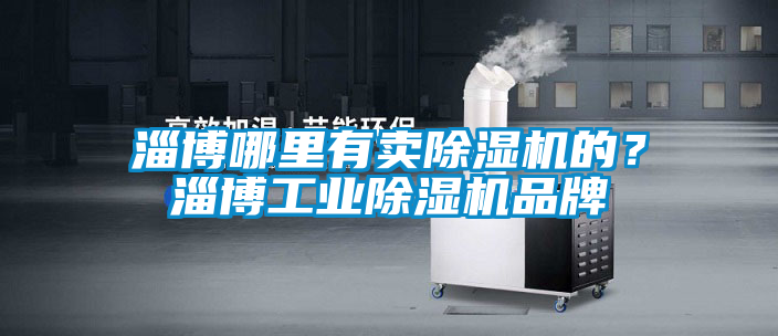 淄博哪里有賣除濕機的？淄博工業(yè)除濕機品牌