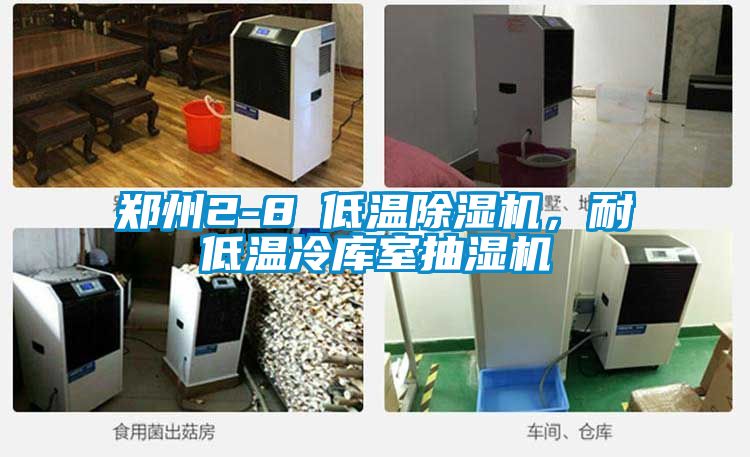 鄭州2-8℃低溫除濕機(jī)，耐低溫冷庫(kù)室抽濕機(jī)