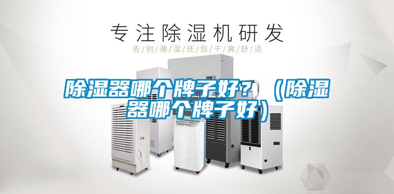 除濕器哪個牌子好？（除濕器哪個牌子好）