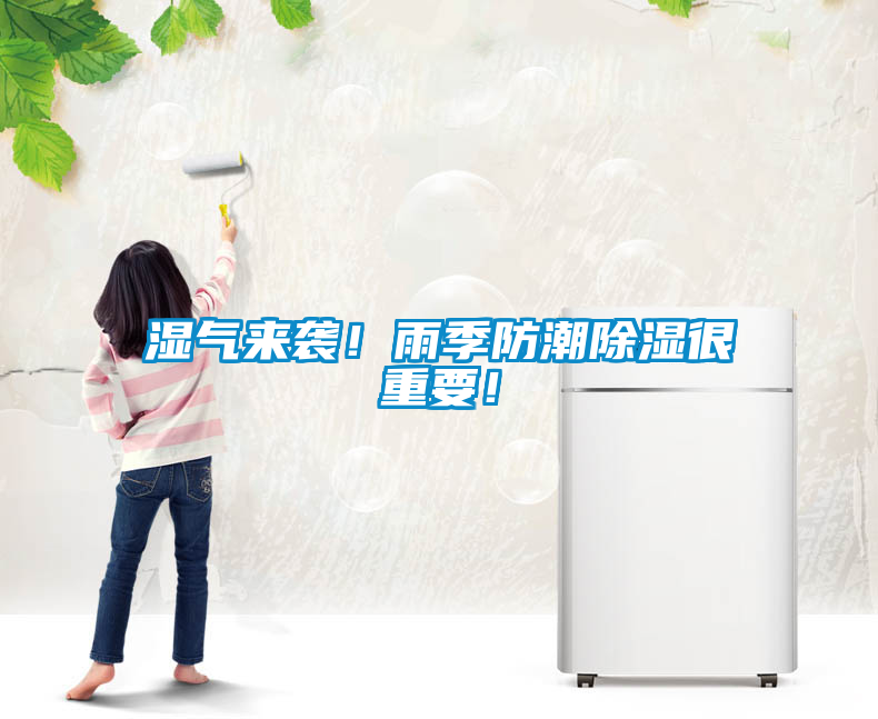 濕氣來襲！雨季防潮除濕很重要！
