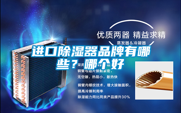進口除濕器品牌有哪些？哪個好