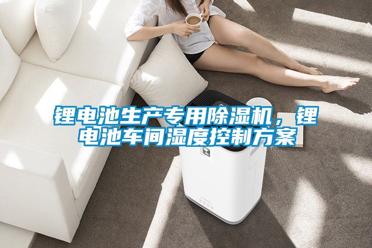 鋰電池生產(chǎn)專用除濕機(jī)，鋰電池車間濕度控制方案