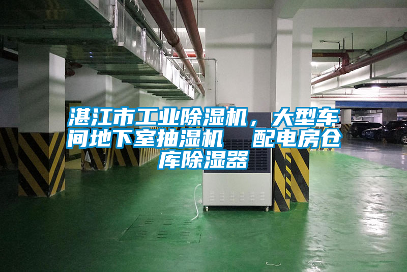 湛江市工業(yè)除濕機(jī)，大型車間地下室抽濕機(jī)  配電房倉庫除濕器