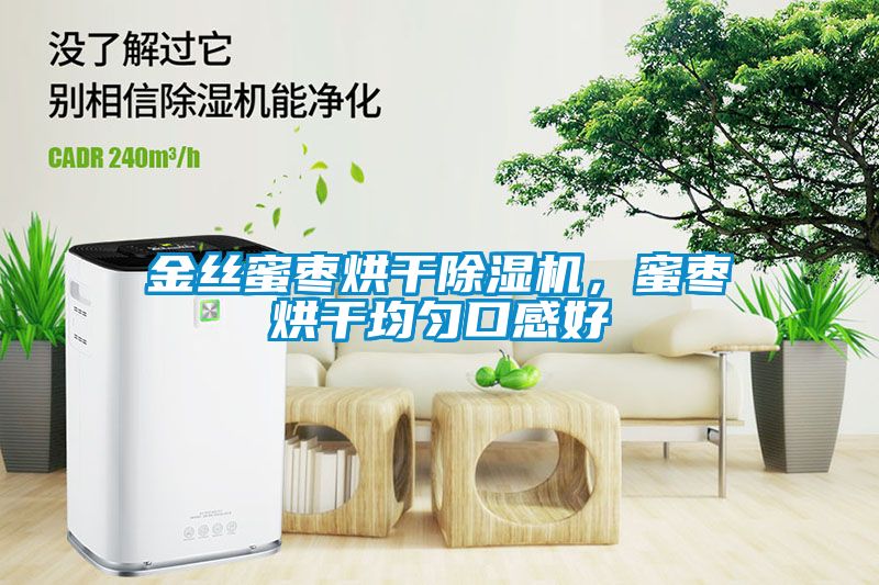 金絲蜜棗烘干除濕機，蜜棗烘干均勻口感好