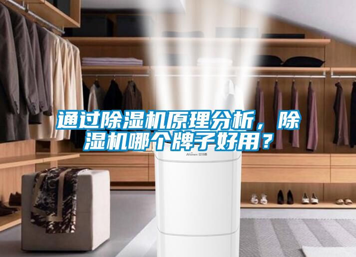 通過除濕機(jī)原理分析，除濕機(jī)哪個牌子好用？