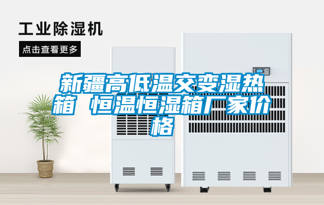 新疆高低溫交變濕熱箱 恒溫恒濕箱廠(chǎng)家價(jià)格