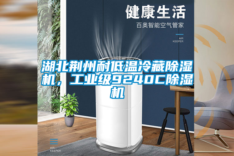 湖北荊州耐低溫冷藏除濕機(jī)，工業(yè)級9240C除濕機(jī)