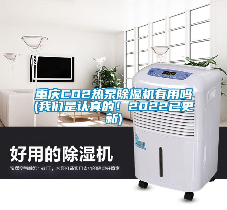 重慶CO2熱泵除濕機(jī)有用嗎(我們是認(rèn)真的！2022已更新)