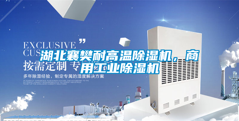 湖北襄樊耐高溫除濕機，商用工業(yè)除濕機