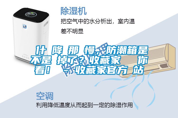 為什麼降濕那麼慢，防潮箱是不是壞掉了？收藏家實測給你看！ - 收藏家官方網站