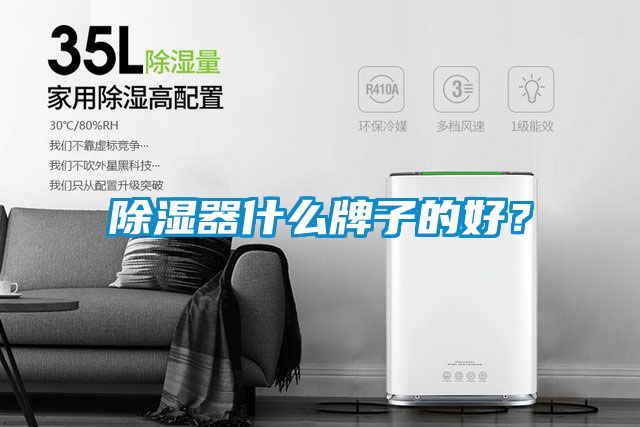 除濕器什么牌子的好？