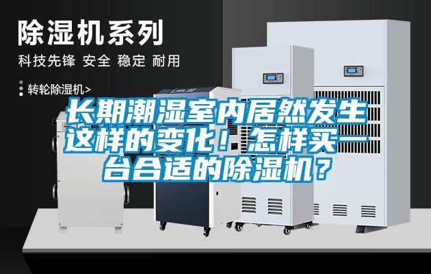 長期潮濕室內(nèi)居然發(fā)生這樣的變化！怎樣買一臺合適的除濕機？