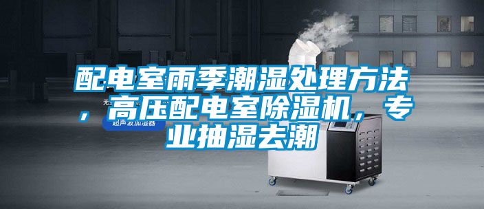 配電室雨季潮濕處理方法，高壓配電室除濕機，專業(yè)抽濕去潮