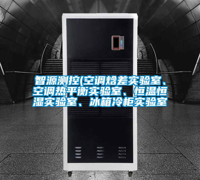 智源測(cè)控(空調(diào)焓差實(shí)驗(yàn)室、空調(diào)熱平衡實(shí)驗(yàn)室、恒溫恒濕實(shí)驗(yàn)室、冰箱冷柜實(shí)驗(yàn)室