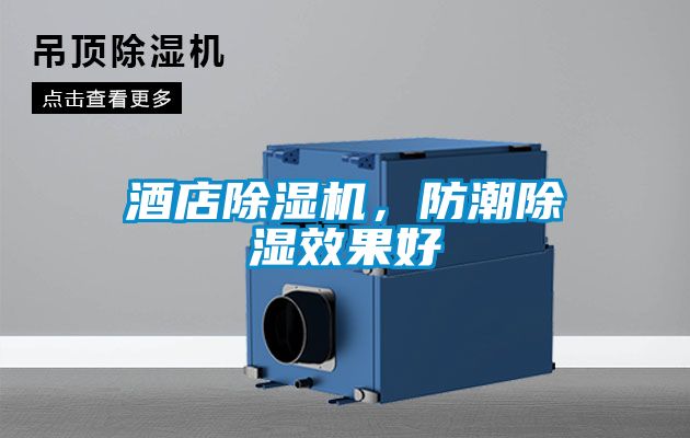 酒店除濕機，防潮除濕效果好