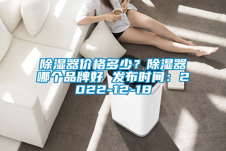 除濕器價(jià)格多少？除濕器哪個(gè)品牌好 發(fā)布時(shí)間：2022-12-18