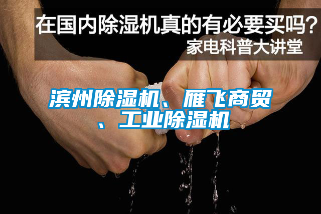 濱州除濕機(jī)、雁飛商貿(mào)、工業(yè)除濕機(jī)