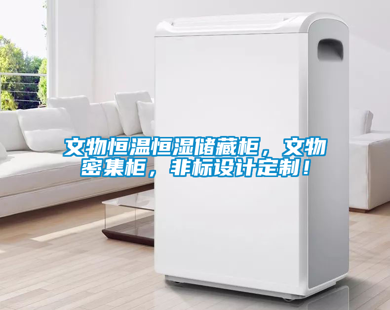 文物恒溫恒濕儲藏柜，文物密集柜，非標(biāo)設(shè)計(jì)定制！