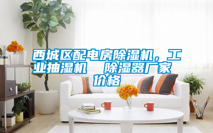 西城區(qū)配電房除濕機(jī)，工業(yè)抽濕機(jī)  除濕器廠家 價(jià)格
