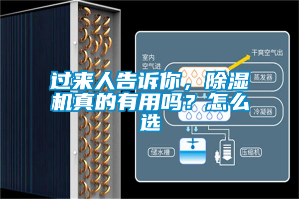 過來人告訴你，除濕機(jī)真的有用嗎？怎么選