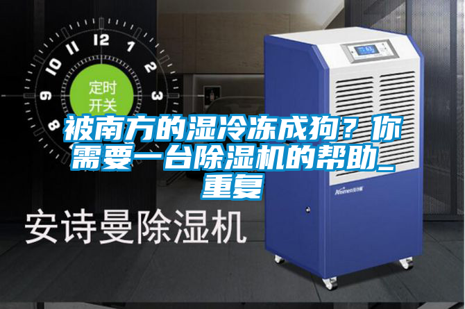 被南方的濕冷凍成狗？你需要一臺除濕機的幫助_重復