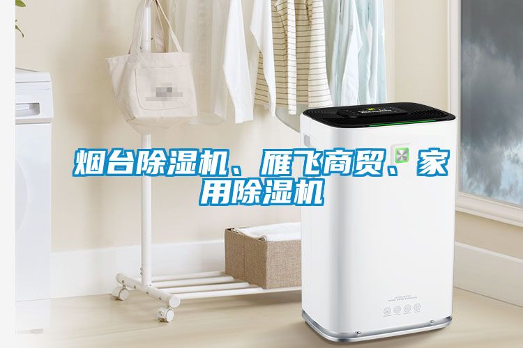煙臺除濕機、雁飛商貿、家用除濕機