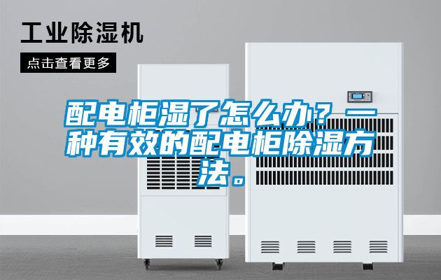 配電柜濕了怎么辦？一種有效的配電柜除濕方法。