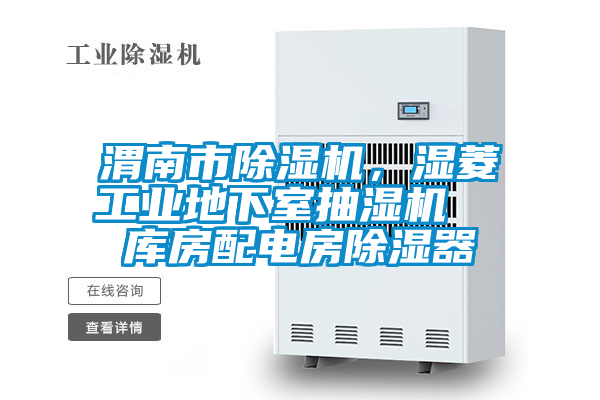 渭南市除濕機(jī)，濕菱工業(yè)地下室抽濕機(jī)  庫房配電房除濕器