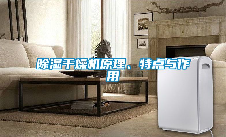 除濕干燥機(jī)原理、特點(diǎn)與作用