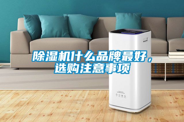 除濕機(jī)什么品牌最好，選購注意事項(xiàng)