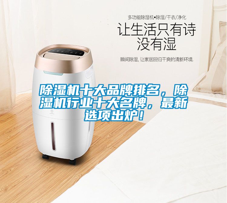 除濕機(jī)十大品牌排名，除濕機(jī)行業(yè)十大名牌，最新選項(xiàng)出爐！