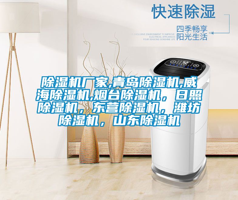 除濕機(jī)廠家,青島除濕機(jī),威海除濕機(jī),煙臺(tái)除濕機(jī)，日照除濕機(jī)，東營除濕機(jī)，濰坊除濕機(jī)，山東除濕機(jī)