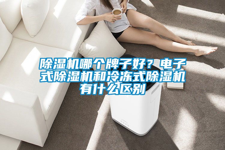 除濕機(jī)哪個(gè)牌子好？電子式除濕機(jī)和冷凍式除濕機(jī)有什么區(qū)別