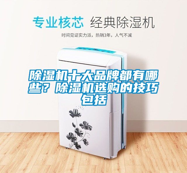 除濕機(jī)十大品牌都有哪些？除濕機(jī)選購的技巧包括