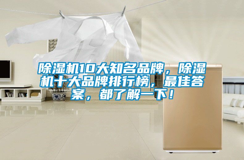除濕機(jī)10大知名品牌，除濕機(jī)十大品牌排行榜，最佳答案，都了解一下！