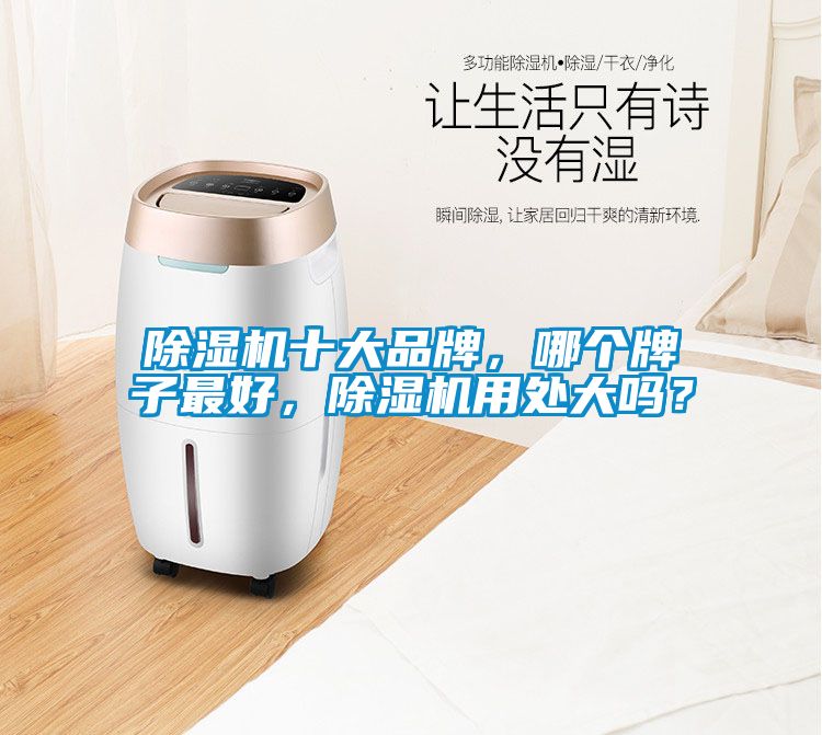 除濕機十大品牌，哪個牌子最好，除濕機用處大嗎？