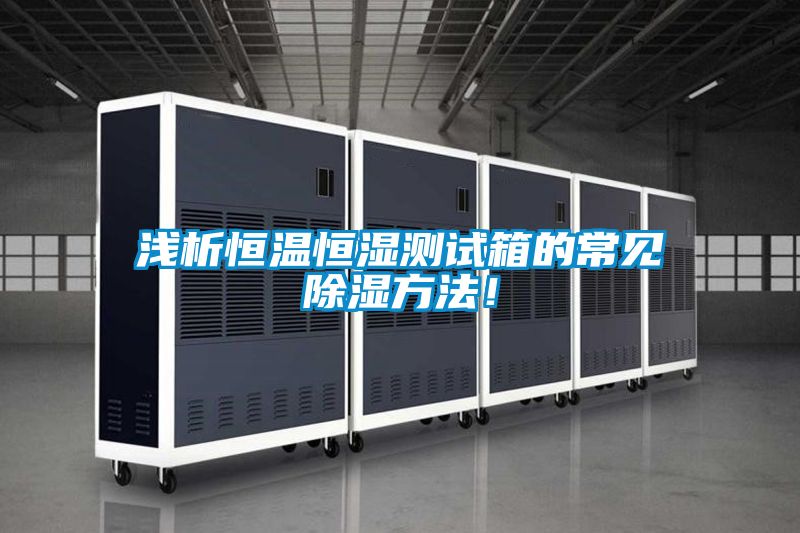 淺析恒溫恒濕測(cè)試箱的常見除濕方法！