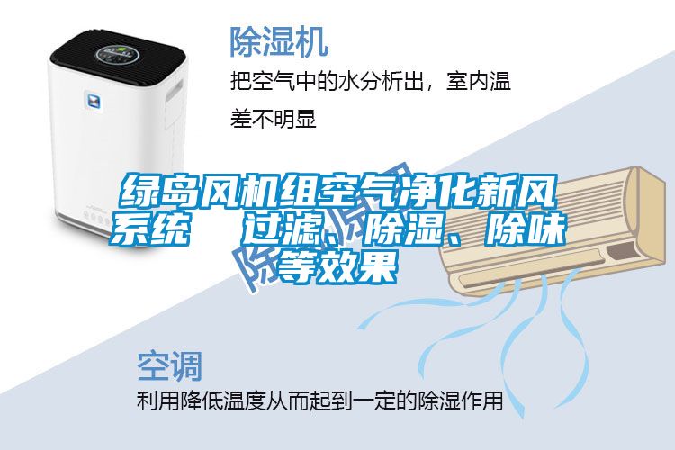 綠島風機組空氣凈化新風系統(tǒng)  過濾、除濕、除味等效果