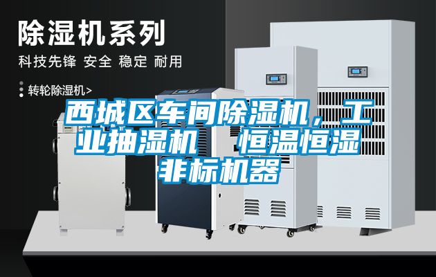 西城區(qū)車間除濕機(jī)，工業(yè)抽濕機(jī)  恒溫恒濕非標(biāo)機(jī)器