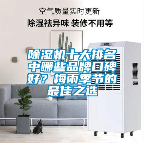 除濕機十大排名中哪些品牌口碑好？梅雨季節(jié)的最佳之選