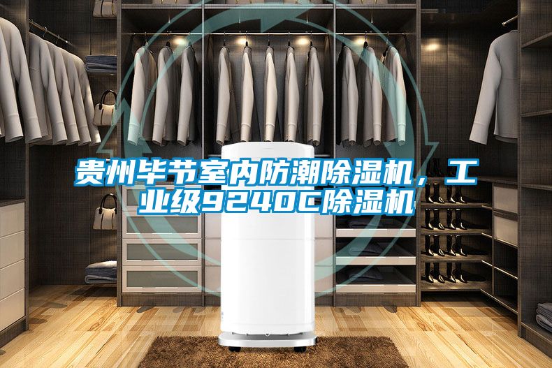 貴州畢節(jié)室內(nèi)防潮除濕機(jī)，工業(yè)級(jí)9240C除濕機(jī)