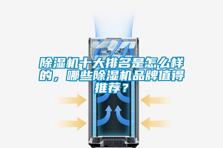 除濕機十大排名是怎么樣的，哪些除濕機品牌值得推薦？