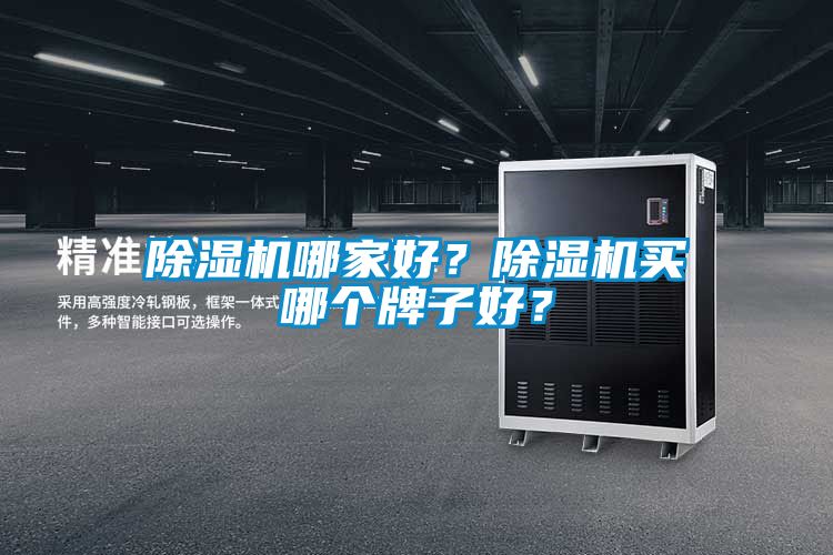 除濕機(jī)哪家好？除濕機(jī)買哪個牌子好？