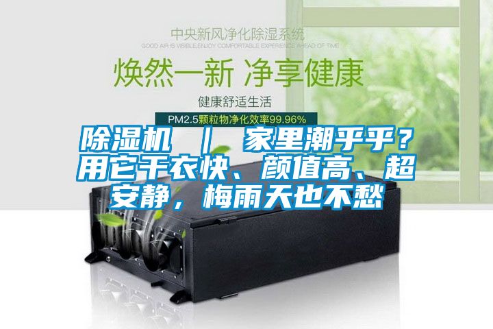除濕機(jī) ｜ 家里潮乎乎？用它干衣快、顏值高、超安靜，梅雨天也不愁