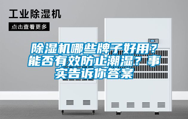 除濕機(jī)哪些牌子好用？能否有效防止潮濕？事實(shí)告訴你答案
