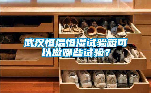 武漢恒溫恒濕試驗(yàn)箱可以做哪些試驗(yàn)？