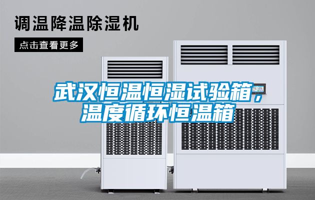 武漢恒溫恒濕試驗(yàn)箱，溫度循環(huán)恒溫箱