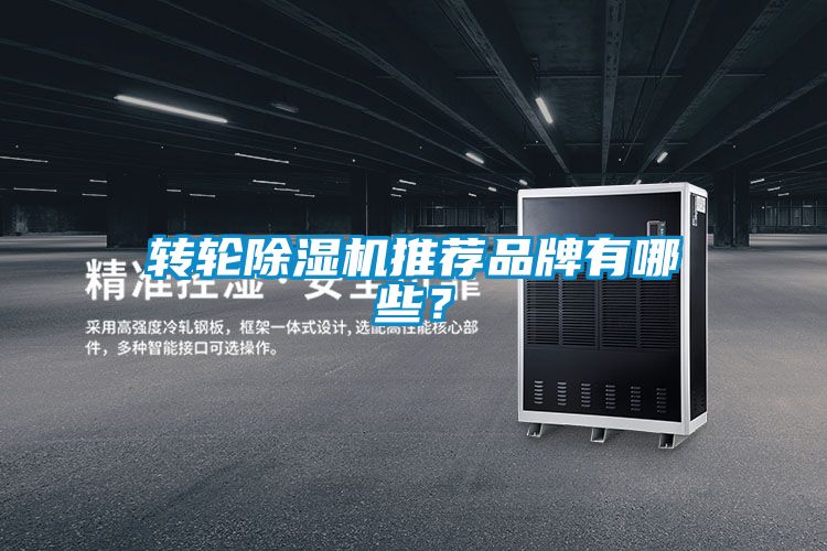 轉(zhuǎn)輪除濕機推薦品牌有哪些？